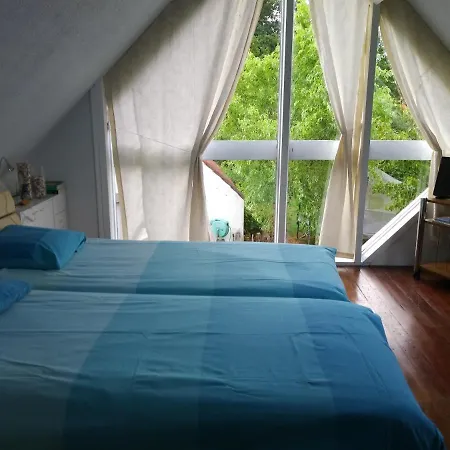 Albatros 3* コクセッド