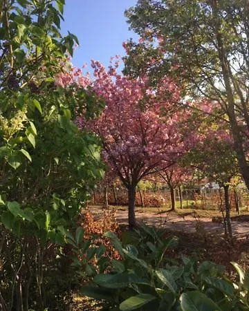 Albatros 3* コクセッド