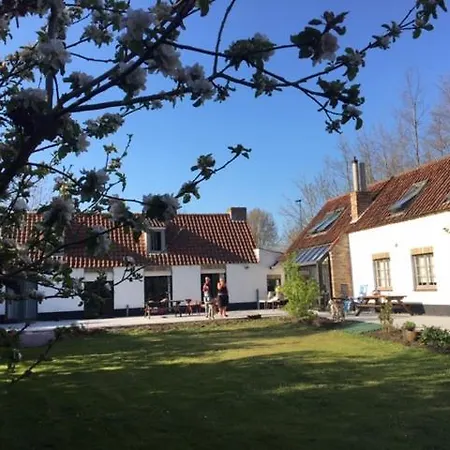 ベッド・アンド・ブレックファスト Albatros コクセッド